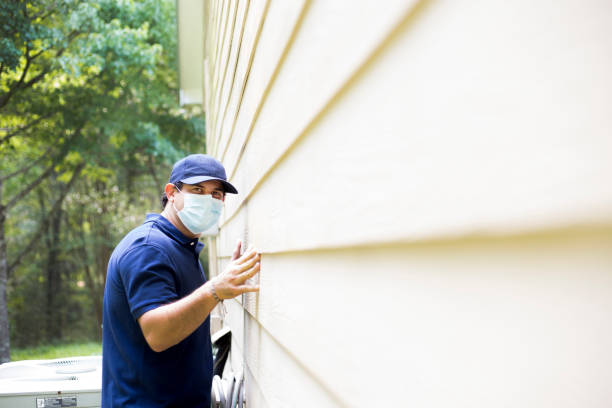 Best Custom Trim and Detailing for Siding  in East Patchogue, NY